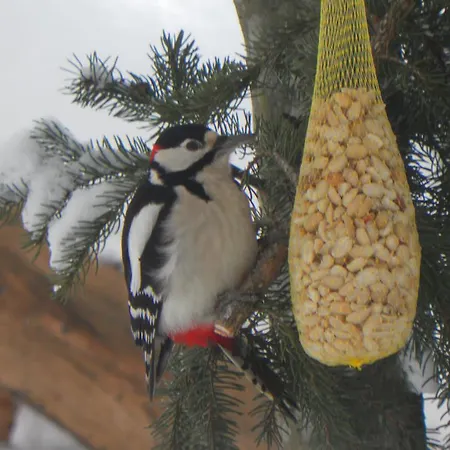 Arlerhof * Untertauern