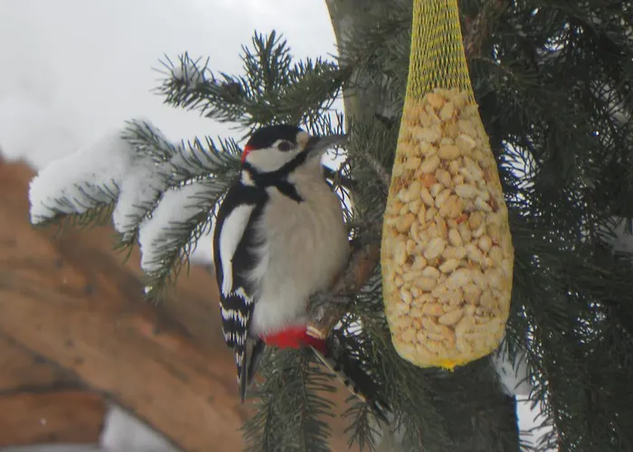 Arlerhof * Untertauern